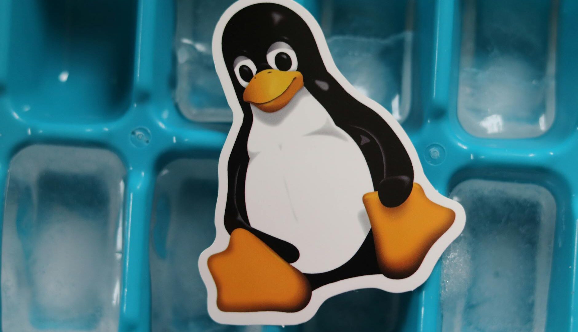 pexels photo 11034131