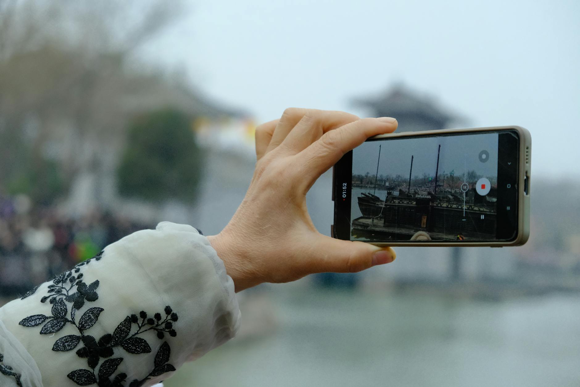 pexels photo 29411201