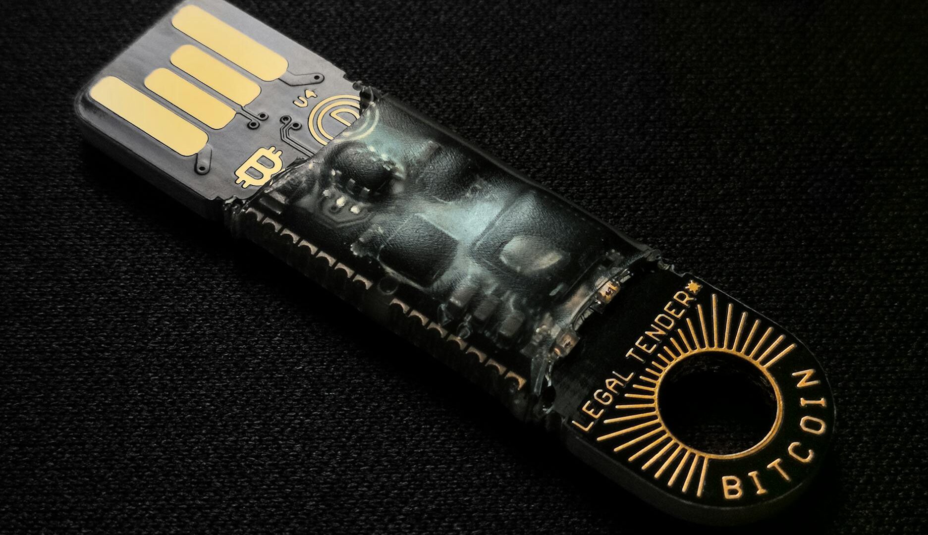 pexels photo 3631991