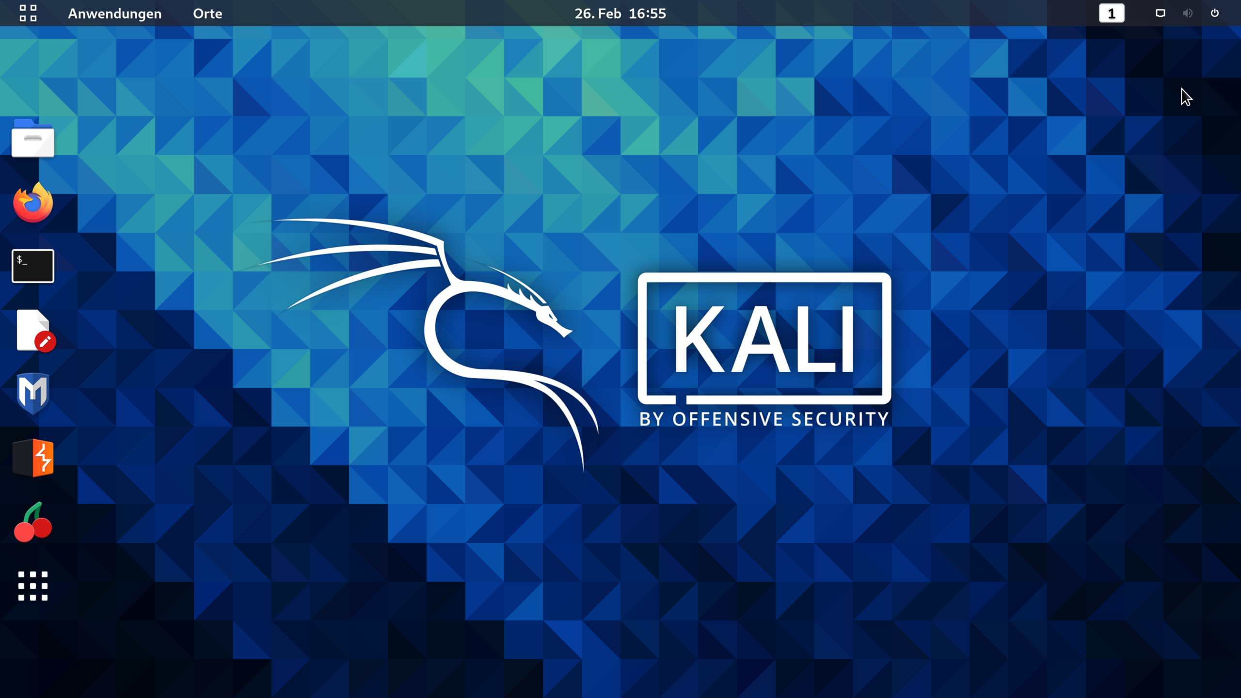 Escritorio de Kali Linux una vez iniciado en modo Live