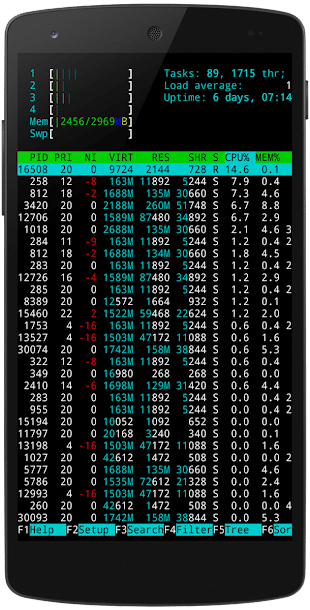 terminal de texmux