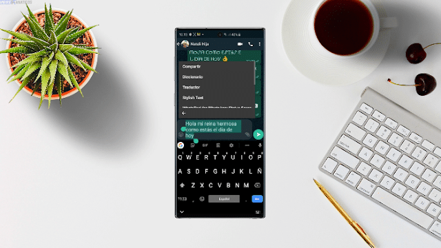 Opciones de envío directo en Stylish Text