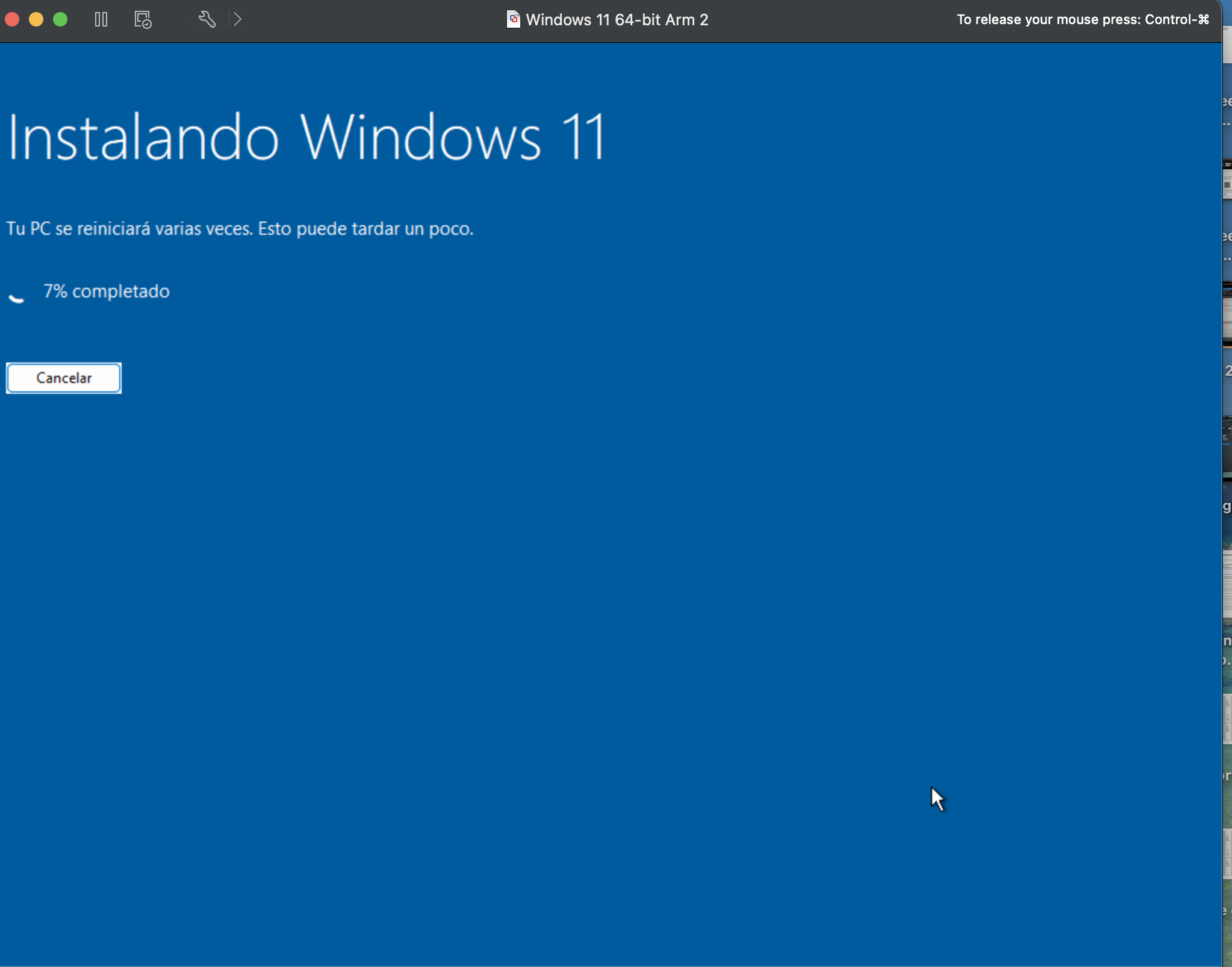 Asistente Windows 11 ARM - Paso 17