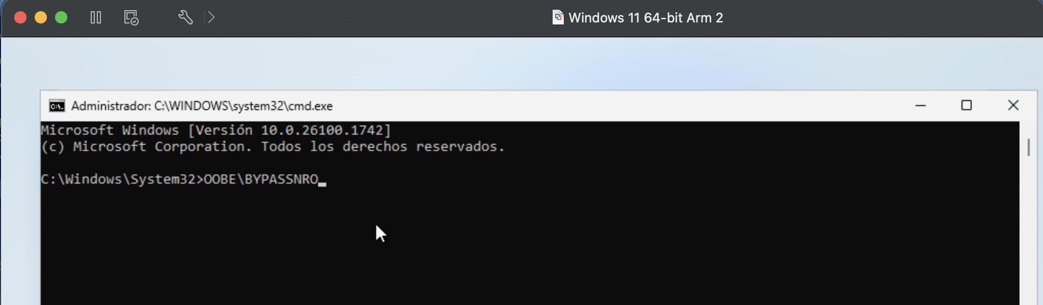 Asistente Windows 11 ARM - Paso 22